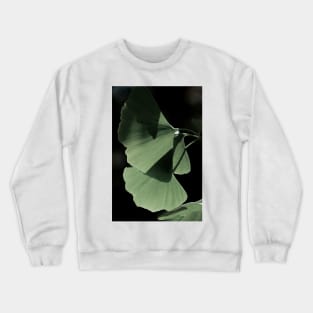 Ginko 03 Crewneck Sweatshirt